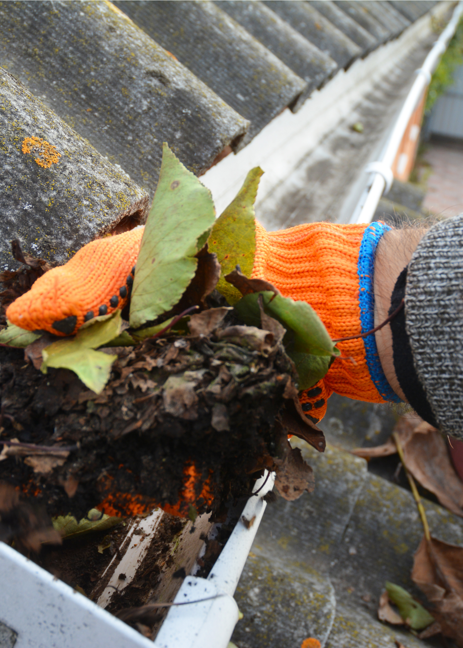 beech-window-cleaning-gutters